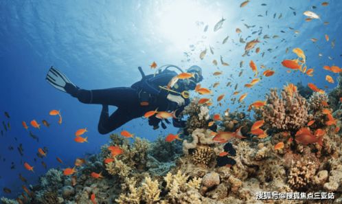 海棠·泰岳府 溫泉入戶(hù)，盡享康養(yǎng)度假雅居生活