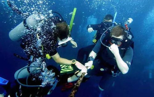 潛水小白的進擊 一篇文章帶你詳解潛水核心裝備